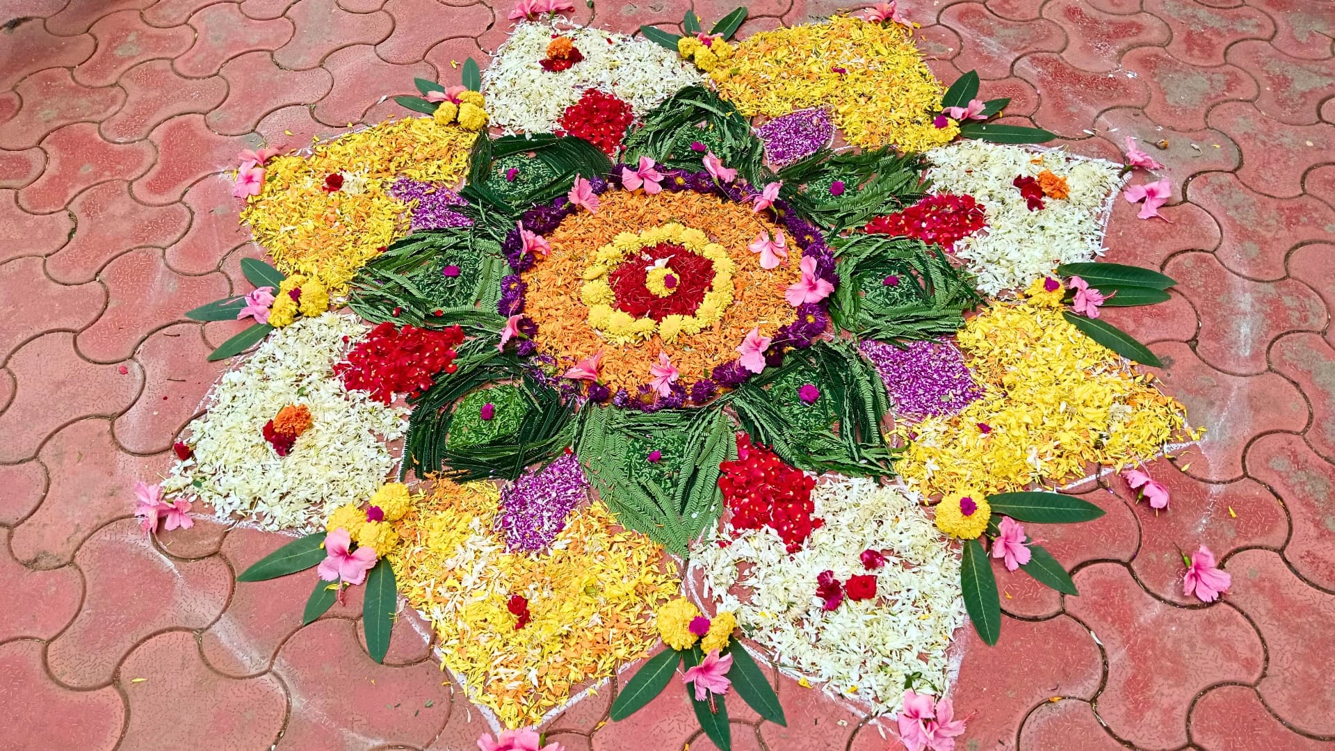Culturals photo 8